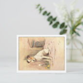 Cecil Aldin Briefkaarten (Staand voorkant)