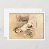 Cecil Aldin Briefkaarten (Voorkant / Achterkant)