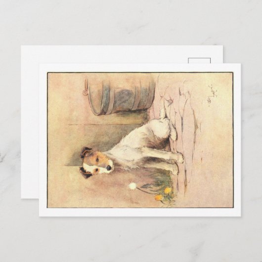 Cecil Aldin Briefkaarten (Voorkant / Achterkant)