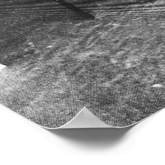 Cecil Aldin in zijn studio Poster (Hoek)