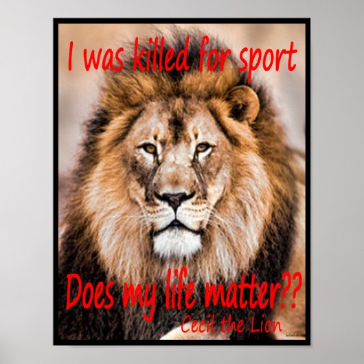Cecil de Lion - Ik ben vermoord voor sport Poster (Voorkant)