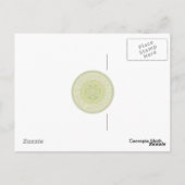 Cecropia Moth Briefkaart (Achterkant)