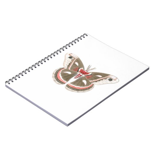 Cecropia Moth Notitieboek (Linkerzijde)