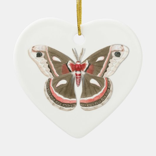 Cecropia Moth Ornament (Voorkant)