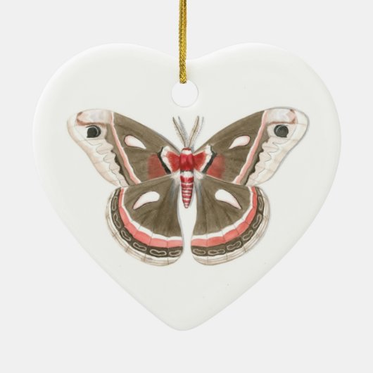 Cecropia Moth Ornament (Achterkant)