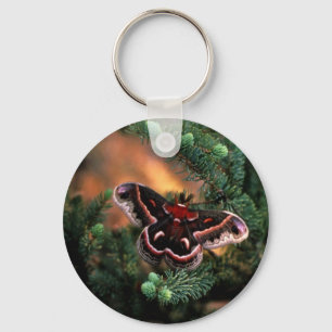 Cecropia moth sleutelhanger