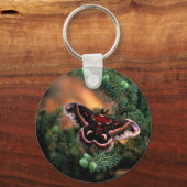 Cecropia moth sleutelhanger (Voorkant)