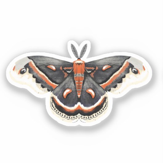Cecropia Moth Sticker (Voorkant)