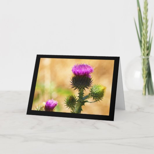 CEDA - IDAHO THISSLE - LEGE KAART (Voorkant)