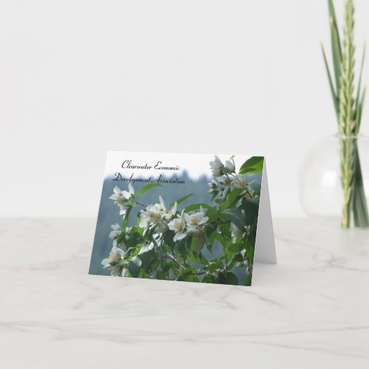 CEDA - Syringa Kaart (Voorkant)