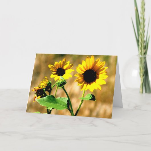 CEDA - ZONNEBLOEM - LEGE KAART (Voorkant)