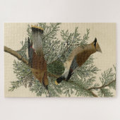 Cedar Bird, Cedar Waxwing Audubon Birds of America Legpuzzel (Horizontaal)