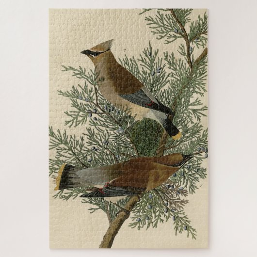 Cedar Bird, Cedar Waxwing Audubon Birds of America Legpuzzel (Verticaal)