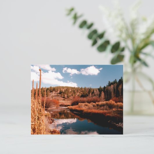 Cedar Breaks National Area, Utah Briefkaart (Staand voorkant)