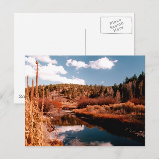 Cedar Breaks National Area, Utah Briefkaart (Voorkant / Achterkant)