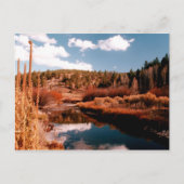 Cedar Breaks National Area, Utah Briefkaart (Voorkant)