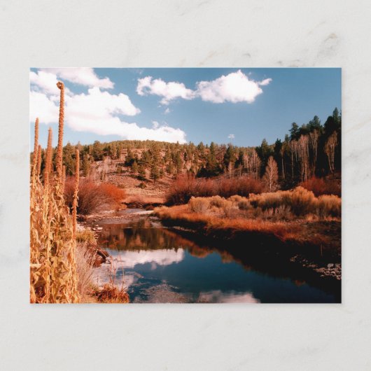 Cedar Breaks National Area, Utah Briefkaart (Voorkant)