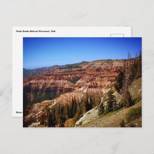 Cedar Breaks National Monument (Utah) Briefkaart (Voorkant / Achterkant)