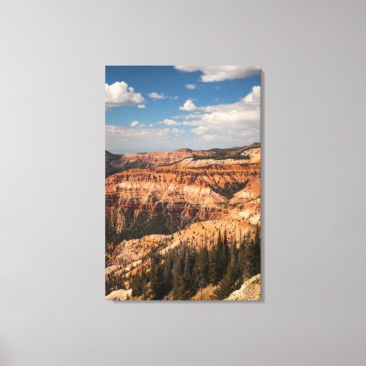 Cedar Breaks National Monument (Utah) Canvas Afdruk (Voorkant)