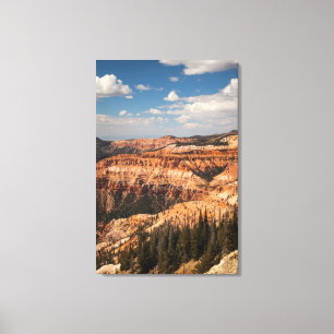 Cedar Breaks National Monument (Utah) Canvas Afdruk
