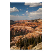 Cedar Breaks National Monument (Utah) Poster (Voorkant)
