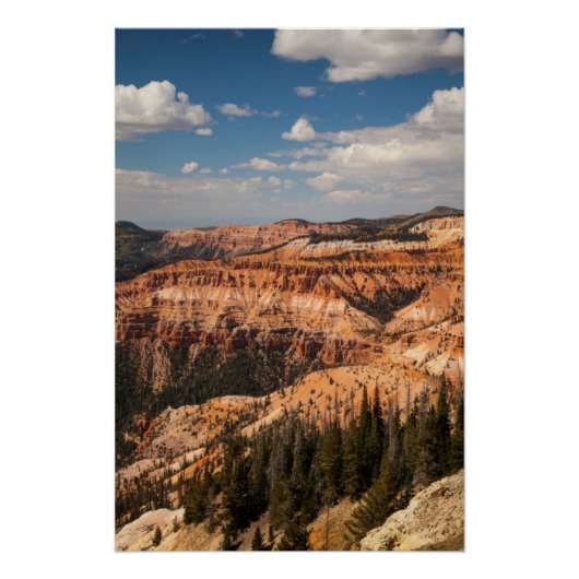 Cedar Breaks National Monument (Utah) Poster (Voorkant)