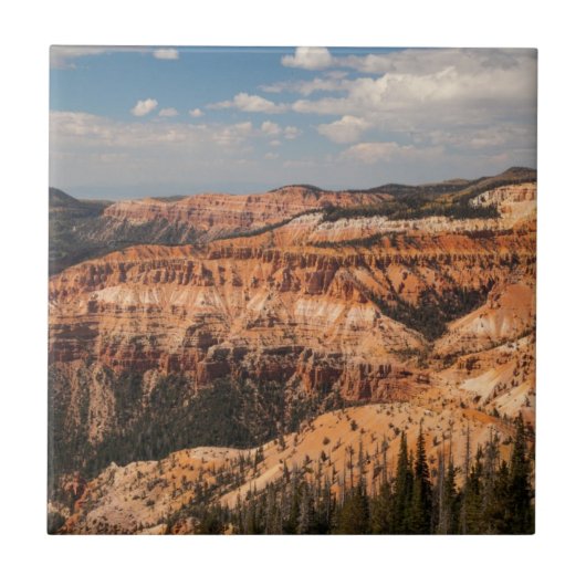 Cedar Breaks National Monument (Utah) Tegeltje (Voorkant)