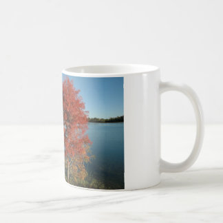CEDAR CREEK BIJ WILLOW TREE KOFFIEMOK