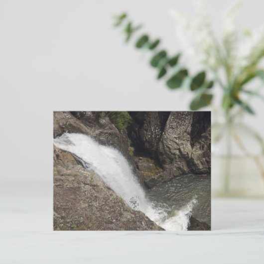 Cedar Creek Herfsten Briefkaart (Staand voorkant)