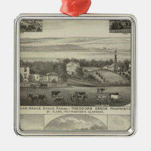 Cedar Grove Stock Boerderij en Roberts Ranch, Kans Metalen Ornament