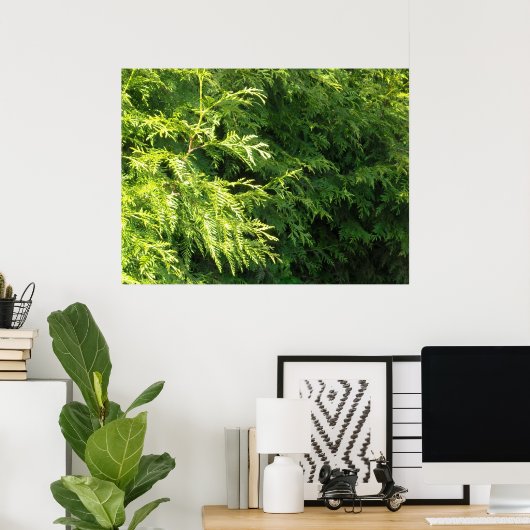 Cedar Hedge Poster (Thuiskantoor)