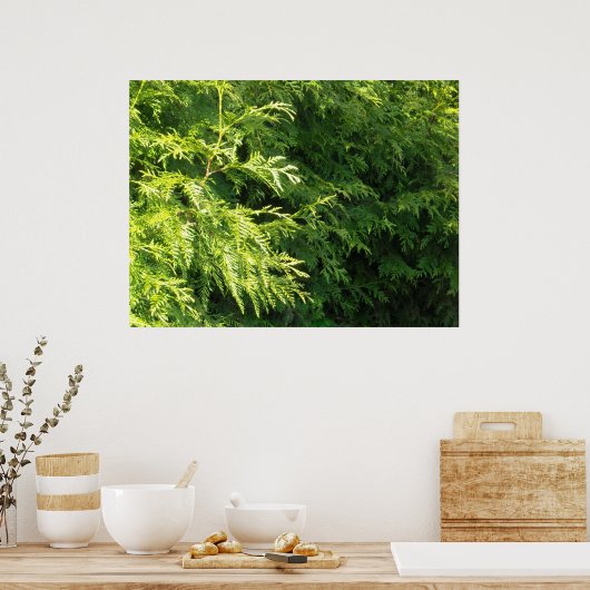 Cedar Hedge Poster (Keuken)