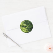 Cedar Hedge Ronde Sticker (Envelop)