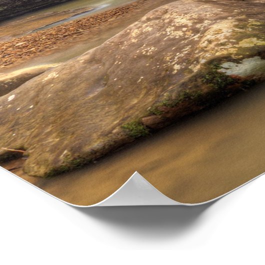 Cedar Herfsten Ohio Print (Hoek)