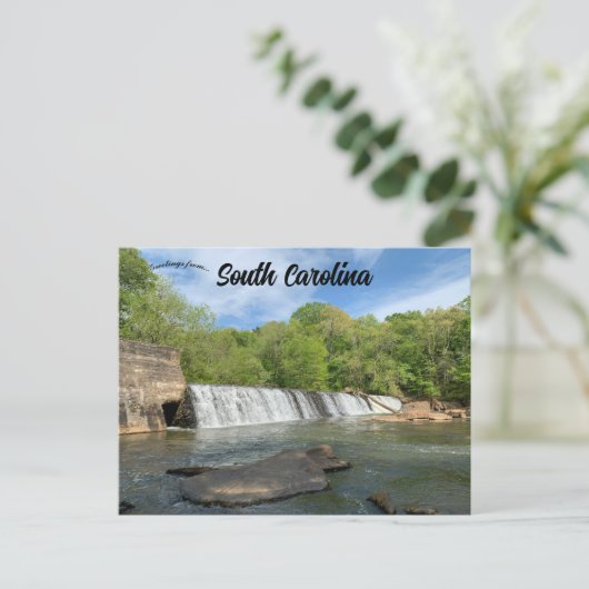 Cedar Herfsten Park, South Carolina Briefkaart (Staand voorkant)