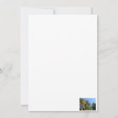 cedar in spaans moss kaart (Achterkant)