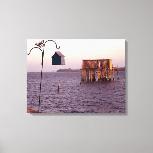 Cedar Key Bird Feeder Canvas Afdruk