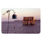 Cedar Key Bird Feeder Magneet (Horizontaal)