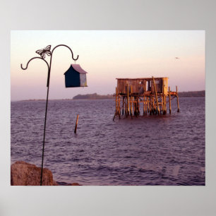 Cedar Key Fish House & Bird Feeder Print