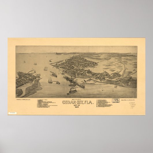 Cedar Key Florida 1884 Antiek Panorama Poster (Voorkant)