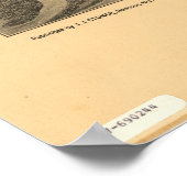 Cedar Key Florida 1884 Panorama Poster (Hoek)