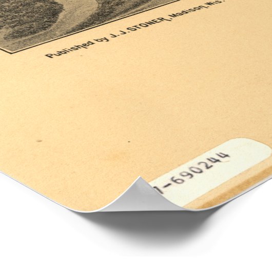 Cedar Key Florida 1884 Panorama Poster (Hoek)