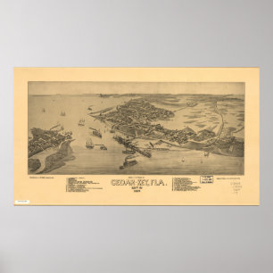 Cedar Key Florida 1884 Panorama Poster