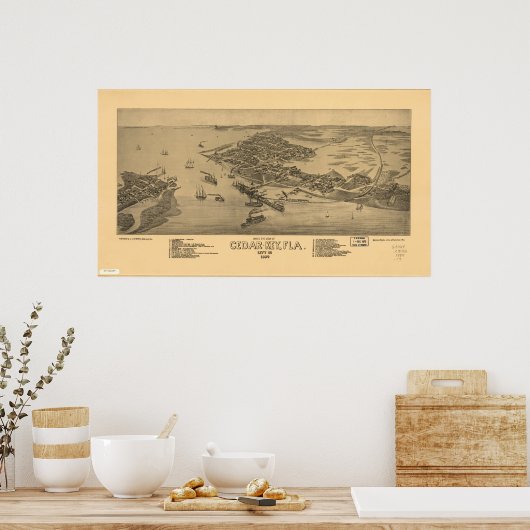 Cedar Key Florida 1884 Panorama Poster (Keuken)