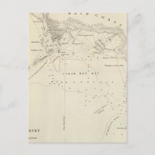 Cedar Keys, Fla Briefkaart (Voorkant)