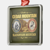Cedar Mountain (FH2) Metalen Ornament (Links)