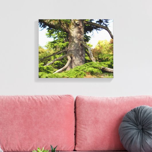Cedar-of-Lebanon Tree Canvas Print (Insitu (Woonkamer))