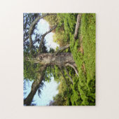 Cedar-of-Libanon - Boom Foto Puzzle met Gift Box Legpuzzel (Verticaal)