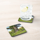 Cedar-of-Libanon Tree Hard Onderzetter van kunstst (Rechterzijde)