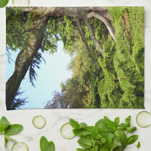 Cedar-of-Libanon Tree Tea Towel Theedoek (Gevouwen)